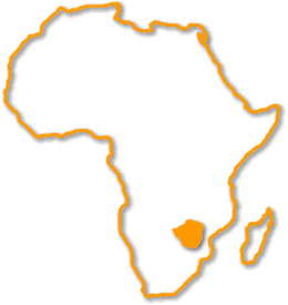 mapazimbabwe